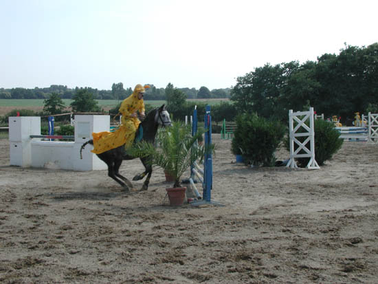 P1010040