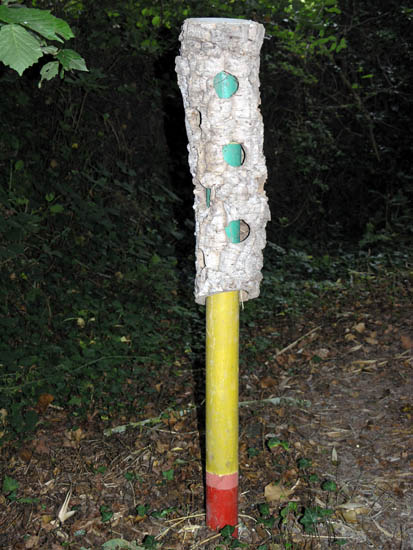 Fete-st-lunaire_045