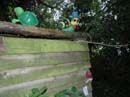 Fete-st-lunaire_053