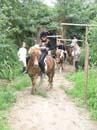 Fete-st-lunaire_055