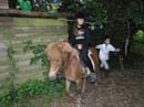Fete-st-lunaire_077