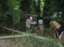 Fete-st-lunaire_078