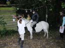 Fete-st-lunaire_152