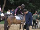 Fete-st-lunaire_200