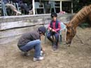Fete-st-lunaire_209