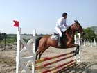 E1-criterium_012