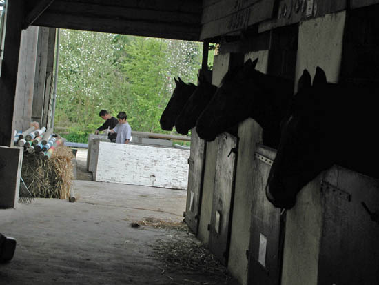 galop-6-7_006