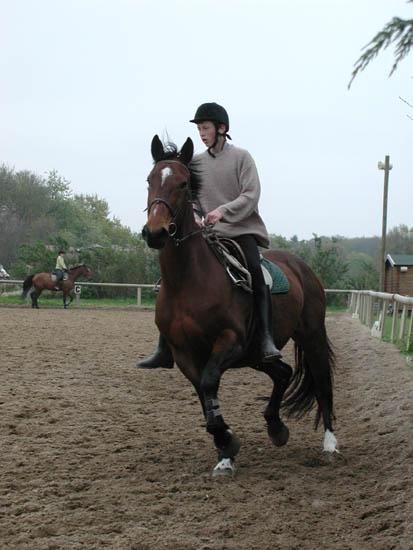 galop-6-7_012