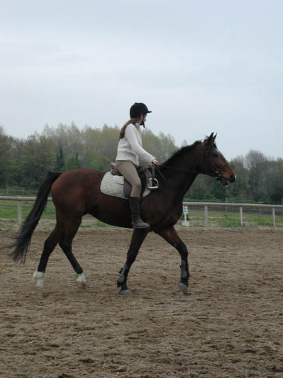 galop-6-7_016