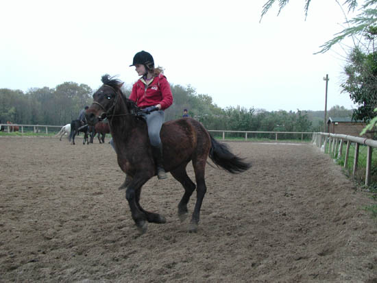 galop-6-7_024