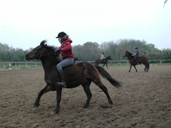 galop-6-7_026