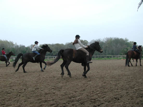 galop-6-7_027