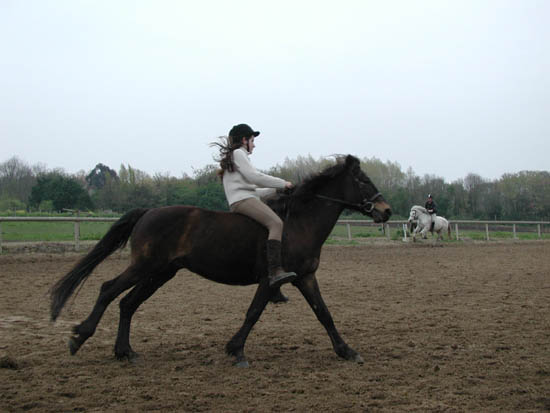 galop-6-7_029