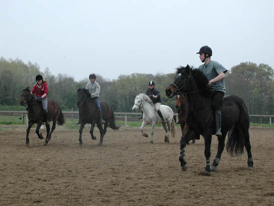 galop-6-7_033