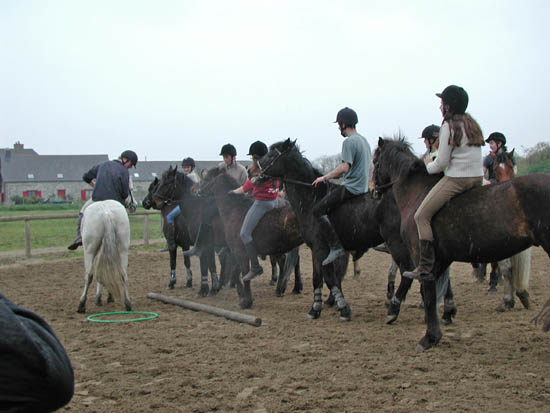 galop-6-7_035