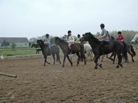 galop-6-7_038