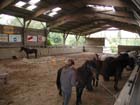 galop-6-7_001