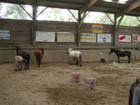 galop-6-7_002
