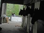 galop-6-7_006