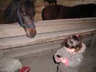 galop-6-7_009