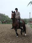 galop-6-7_012