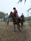galop-6-7_013
