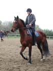 galop-6-7_014