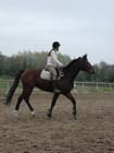 galop-6-7_016