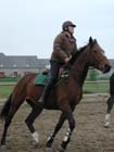 galop-6-7_017