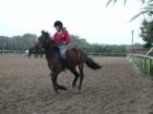 galop-6-7_024