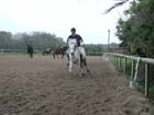 galop-6-7_025
