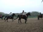 galop-6-7_027