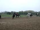 galop-6-7_028