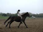 galop-6-7_029