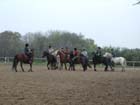 galop-6-7_031