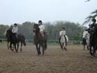 galop-6-7_032