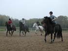 galop-6-7_033