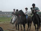 galop-6-7_034