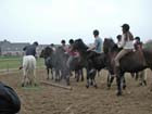galop-6-7_035