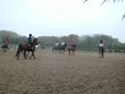 galop-6-7_036