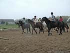 galop-6-7_038