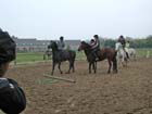 galop-6-7_042