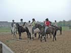 galop-6-7_044