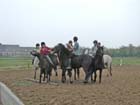 galop-6-7_047