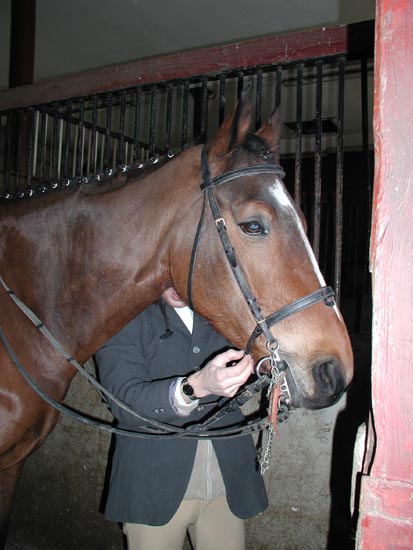Lamballe_004