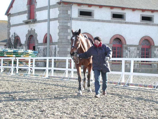 Lamballe_015