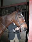 Lamballe_004