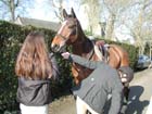 Lamballe_005