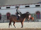 Lamballe_009