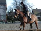 Lamballe_012